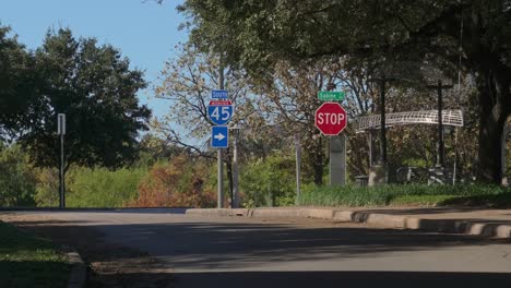 Street-scene-and-road-signs-in-Houston,-TX-on-a-sunny-day