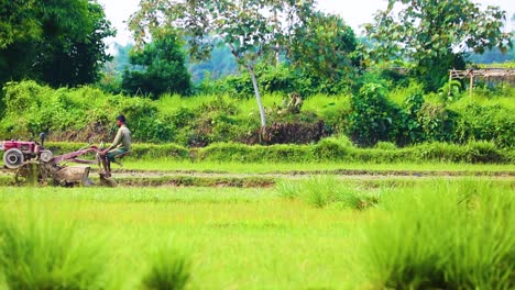 Agricultor-Que-Utiliza-Un-Tractor-De-Dos-Ruedas-Para-Preparar-La-Tierra-Y-Arar-El-Campo-Para-La-Siembra-En-La-Zona-Rural-De-Bangladesh