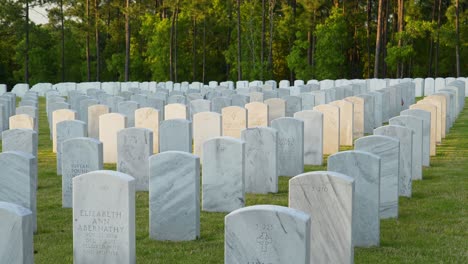 Lápidas-En-El-Cementerio-Nacional-De-Fort-Jackson