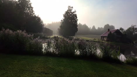 Moving-shot-of-sunrise-at-countryside-village-with-flowers-in-foreground