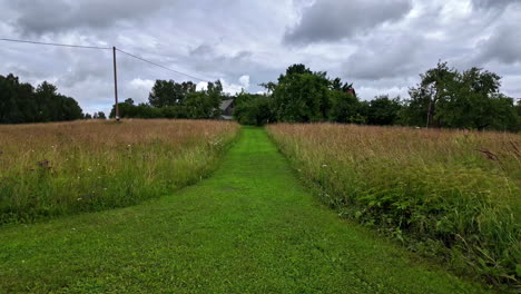 Slow-walk-on-a-path-of-a-green-meadow,-cloudy-day-with-a-nice-sky,-background-with-copy-space