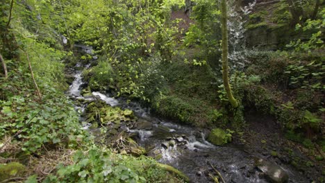 Extra-wide-shot-of-end-of-the-waterfalls-at-Lumsdale-waterfalls,-Matlock