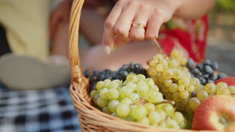 Frau-Nimmt-Trauben-Aus-Einem-Traditionellen-Picknickkorb