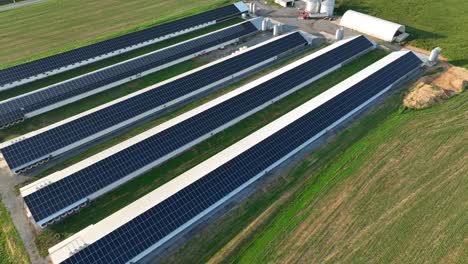 Modern-chicken-houses-with-solar-panels-on-roof-in-american-countryside