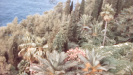 Luftaufnahme-Der-Vegetation-Am-Meer-Auf-Der-Insel-Korcula-In-Den-1960er-Jahren