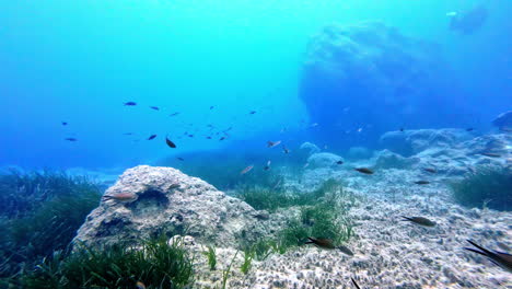 Beauty-of-underwater-ocean-life,-POV-scuba-diving