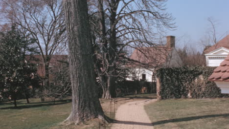 Ancient-Trees-in-the-Garden-of-George-Washington-House,-Mount-Vernon,-1950s