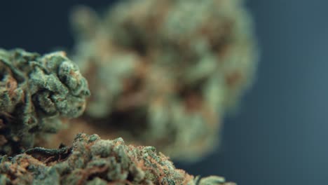 A-vertical-macro-detailed-shot-of-a-giant-cannabis-plant,-hybrid-orange-strains,-green-leaf-Indica-,marijuana-flower,-on-a-360-rotating-stand,-studio-lighting-4k