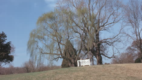 Gran-árbol-En-La-Plantación-Carters-Grove,-Virginia,-Década-De-1950