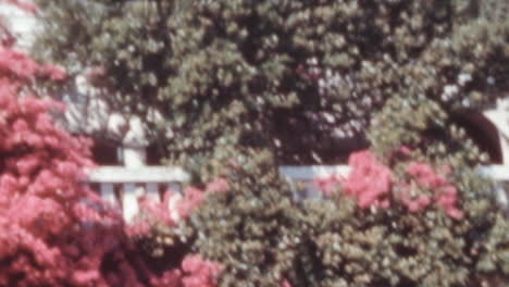 Abundancia-De-Plantas-Florecientes-En-El-Jardín-De-Una-Lujosa-Villa-En-Dubrovnik,-Década-De-1960