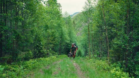 Un-Hombre-Y-Su-Perro-Recorriendo-Una-Ruta-De-Senderismo-A-Través-De-Los-Bosques-De-Osen-En-El-Condado-De-Trøndelag,-Noruega---Toma-Estática