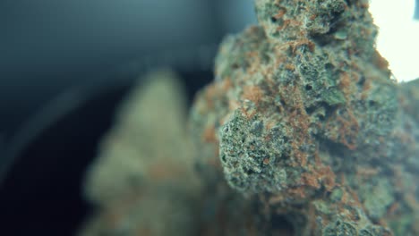 A-macro-detailed-crispy-shot-of-a-cannabis-plant,-hybrid-orange-strains,-green-leaf-Indica-,marijuana-flower,-on-a-360-rotating-stand,-studio-lighting-4k