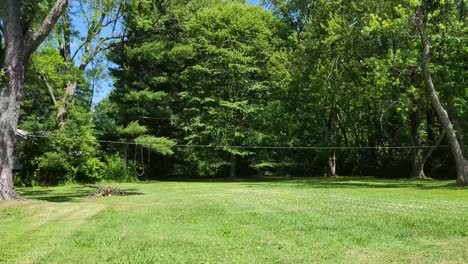 Timelapse-footage-of-a-yellow-lawnmower-cutting-grass-in-a-green-backyard,-surrounded-by-tall-trees-on-a-sunny-day