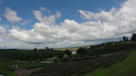 Clouds-rush-above-beautiful-lush-green-tea-farm-in-Chiang-Rai,-Thailand-as-tourists-roam-the-fields-on-a-sunny-day