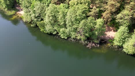 Vista-Aérea-De-La-Orilla-De-Un-Lago-En-Un-Bosque