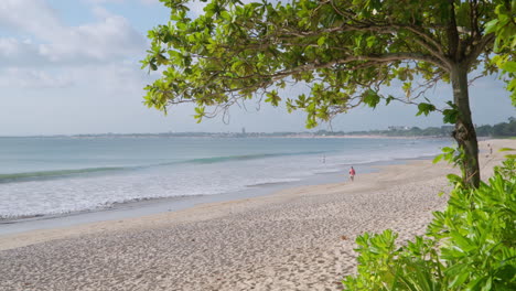 Ruhige-Strandszene-Mit-Einer-Einsamen-Gestalt,-Die-An-Einem-Großen-Tropischen-Baum-Auf-Bali-über-Einen-Weißen-Sandstrand-Läuft