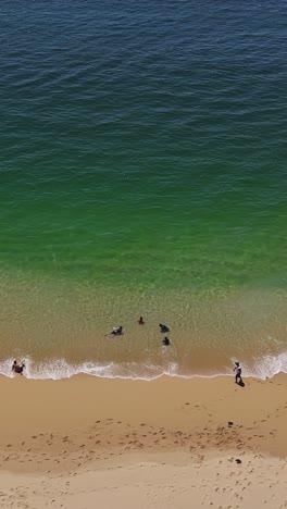 Vertical-drone-shot-of-people-relaxing-on-the-beach-in-Huatulco