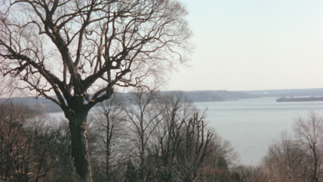 Panorama-Invernal-Con-árbol-Sin-Hojas-En-Primer-Plano-Y-Río-Al-Fondo