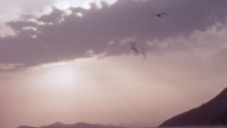 Stunning-sunset-over-the-sea-with-silhouetted-seagulls-in-flight,-in-vintage-style-from-the-1960s