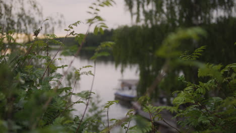 Sommersee-Und-Boot-In-Schweden-Am-Abend,-Rack-Fokus