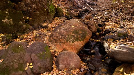 Drohne-Schwebt-über-Einem-Flussbett-Mit-Wasser,-Das-Im-Spätherbst,-Herbst,-Oktober,-November-über-Einige-Felsen-Tropft,-Viele-Orange-Und-Gelbe-Blätter-Auf-Dem-Boden