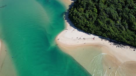 Playa-Woody-Y-Parque-Caldwell-Cove-En-El-Parque-Nacional-Burleigh-Head-En-Gold-Coast,-Queensland,-Australia