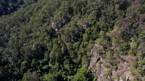 The-Rocky-Forest-Mountains-At-Falls-Lookout-and-Bulls-Falls-In-Mount-Mee,-Queensland,-Australia