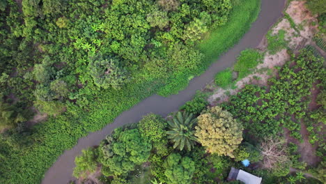 Overview-Lush-Tropical-Landscape-Meandering-River-Palm-Tree-Hut