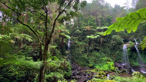 Waterfall-surrounded-by-lush-greenery