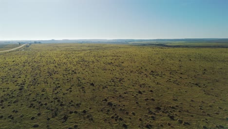 Vista-Aérea-Del-Campo-De-Guavirari-En-Corrientes-Argentina-Durante-El-Día.