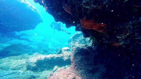 Taucher-Unter-Dem-Meer-In-Kristallklarem-Wasser-Und-Die-Wunder-Der-Tiefen