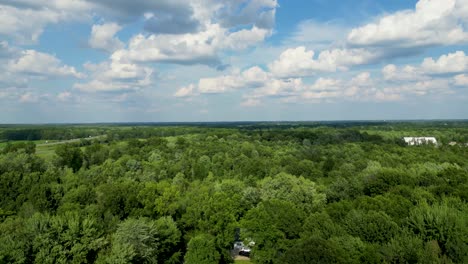 Drone-captures-a-vast-aerial-view-of-a-lush-green-forest-under-a-bright-blue-sky-with-scattered-clouds,-showcasing-the-beauty-and-expanse-of-natural-woodlands