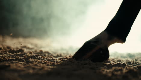 Slow-Motion-Panning-Shot-of-Horse-Hooves-Galloping-Across-Dirt-Ground