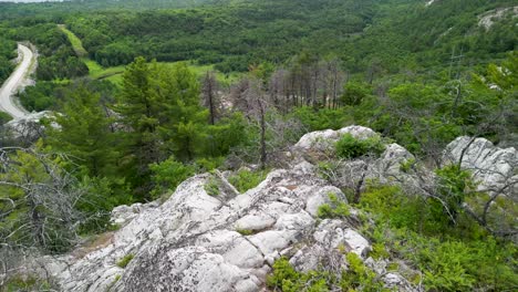 Vuelo-Aéreo-Sobre-Bosque-Con-Vegetación-En-La-Cima-De-Una-Montaña