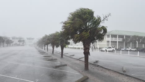 Hurricane-winds-and-rain-blowing-palm-trees-in-an-empty-parking-lot