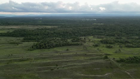 Flyover-grassy-sand-dunes,-green-forest-in-central-Bolivian-landscape