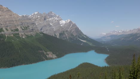 Strahlend-Türkisfarbenes-Wasser-Des-Peyto-Lake,-Zeitlose-Oase-Der-Ruhe