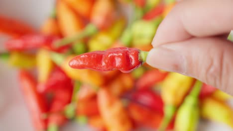 Beautiful-Bokeh-Shot-Of-Fresh,-Raw,-Colorful-Chili-Peppers-