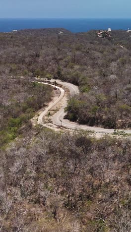 Straight-down-aerial-shot-of-the-curvy-paths-in-Huatulco-National-Park,-Oaxaca