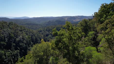 View-Of-Sub-tropical-Rainforest-At-The-Falls-Lookout-and-Bulls-Falls-In-Mount-Mee,-Queensland,-Australia