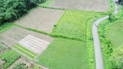 Vista-Aérea-De-Un-Pueblo-Remoto-En-Bengala-Occidental-Tomada-Desde-Un-Dron