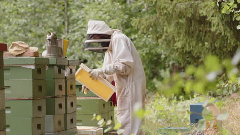 Beekeeper-in-protective-suit-working-on-beehives-in-countryside,-rack-focus