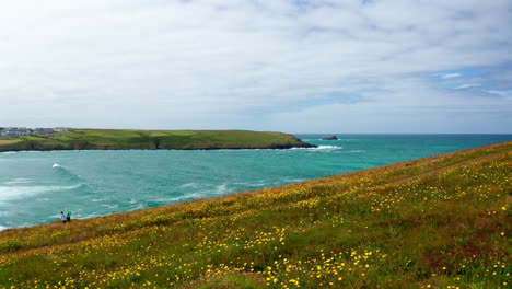 Walking-through-the-summer-flowering-meadow-in-Cornwall,-United-Kingdom