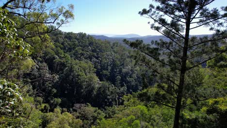 Hinterland-Von-Falls-Lookout-Und-Bulls-Falls-Im-Mount-Mee-State-Park,-Queensland,-Australien