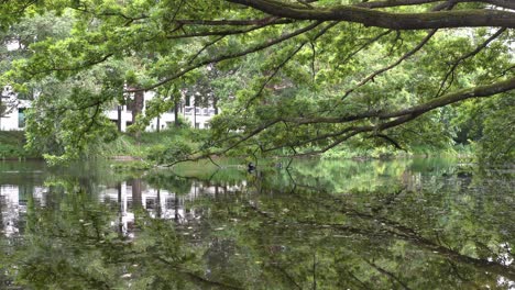 Peaceful-water-reflection-scene-in-Bremen,-German