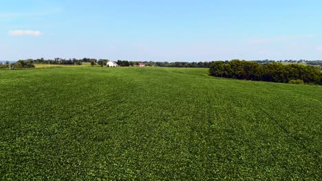 An-aerial-view-of-a-white-house-spread-out-far-apart-on-a-large-green-farmland-in-Pennsylvania-on-a-sunny-day