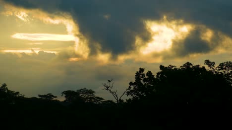 Dark-clouds-and-golden-sunlight-create-a-dramatic-sky-over-a-forest