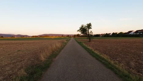 Sunset-walk-between-agricultural-fields-with-hills-in-background,-Heidelberg-Germany