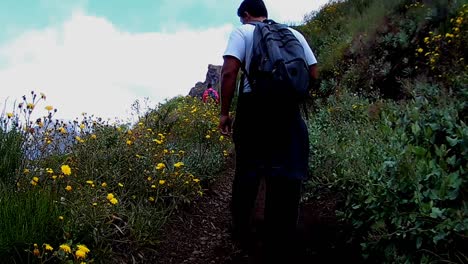 POV-hiking-trekking-path-close-up-through-the-laurel-forest-Laurissilva-levada-walk-Areeiro-to-Pico-Ruivo-mountain-landscape-the-Island-of-Madeira-UNESCO-Natural-Heritage