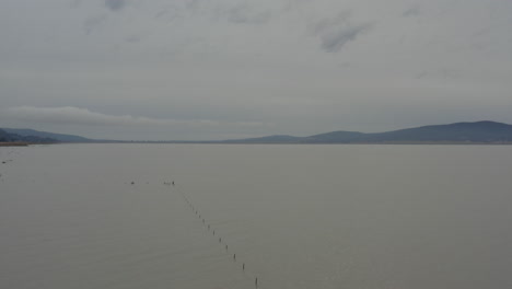 Drone-flying-over-a-semi-submerged-fence-line-in-Lake-George,-near-Canberra-ACT